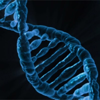  Double helix structure of DNA molecule, showing twisted ladder shape