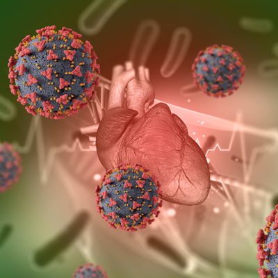 An illustration of a human heart surrounded by virus particles, representing a health concept.