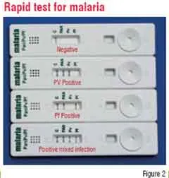 Rapid Tests Malaria