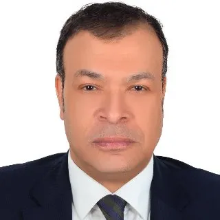 Hassan Mostafa Mohamed