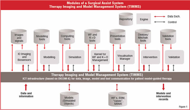 Modules of a Surgical Assist System Therapy Imaging and Model Management System(TIMMS)